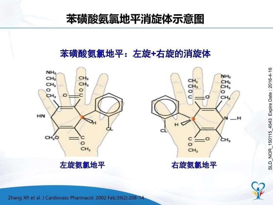 左旋氨氯地平区药理_图文_第5页