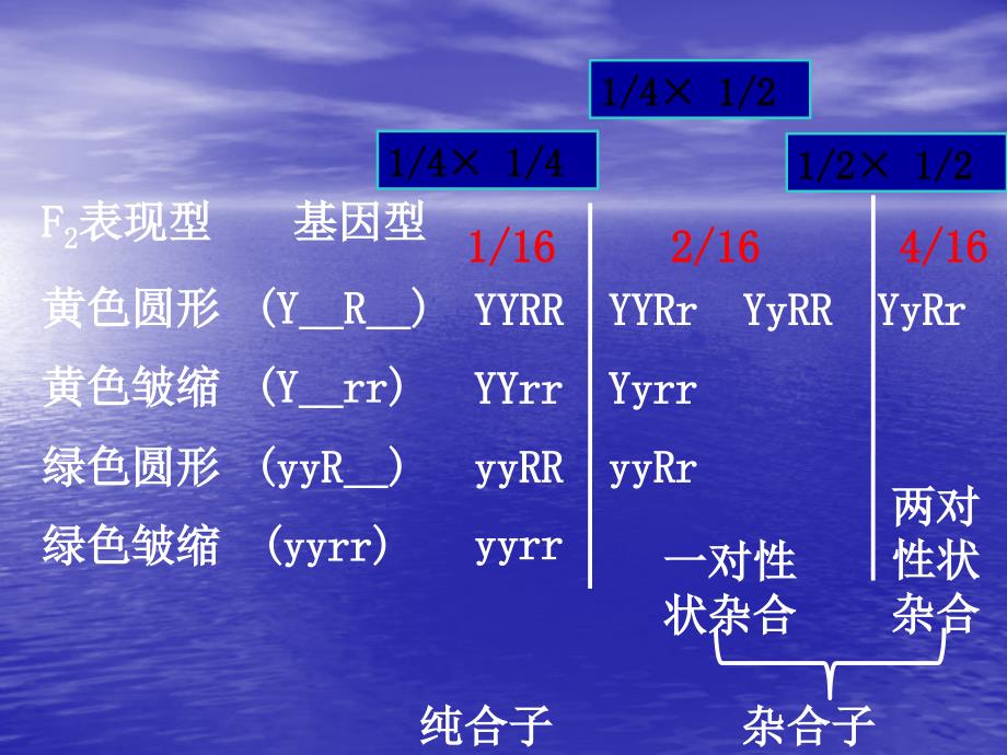 公开课.ppt_第3页