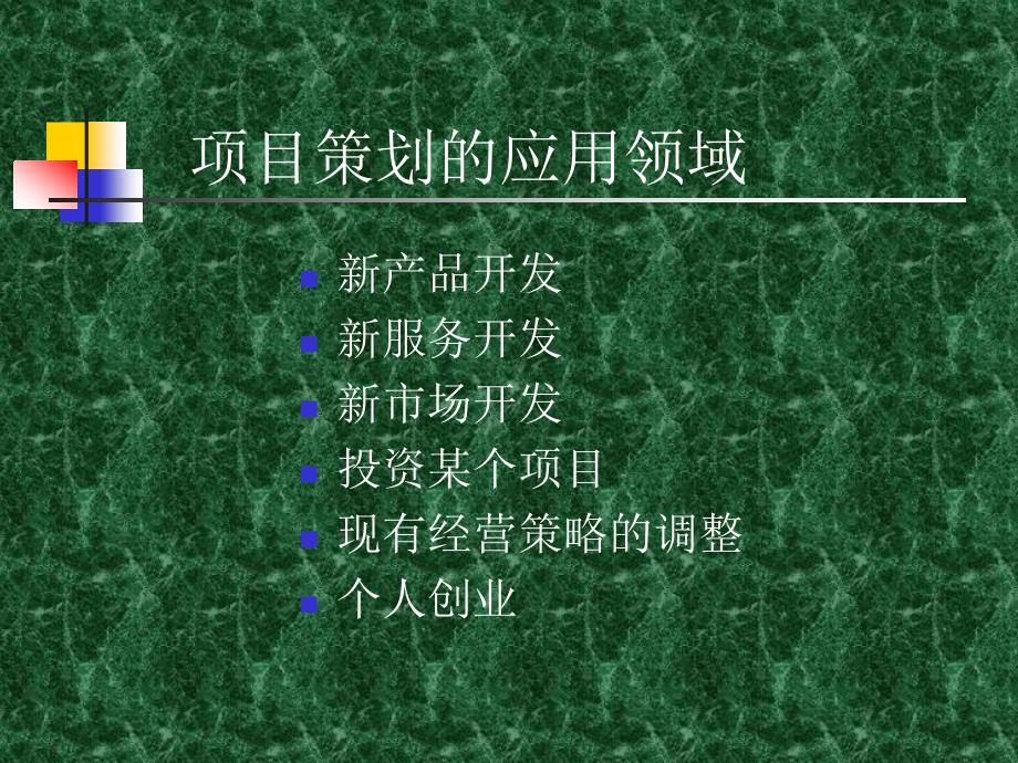 项目策划（商业计划）——项目成功的起点ppt_第2页