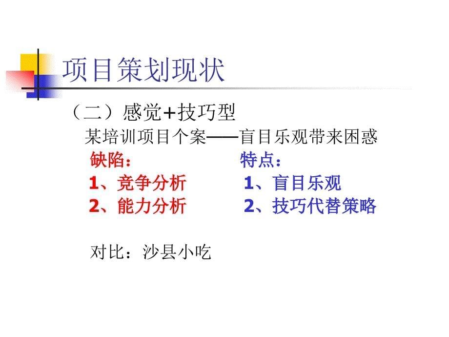 项目策划（商业计划）——项目成功的起点ppt_第5页