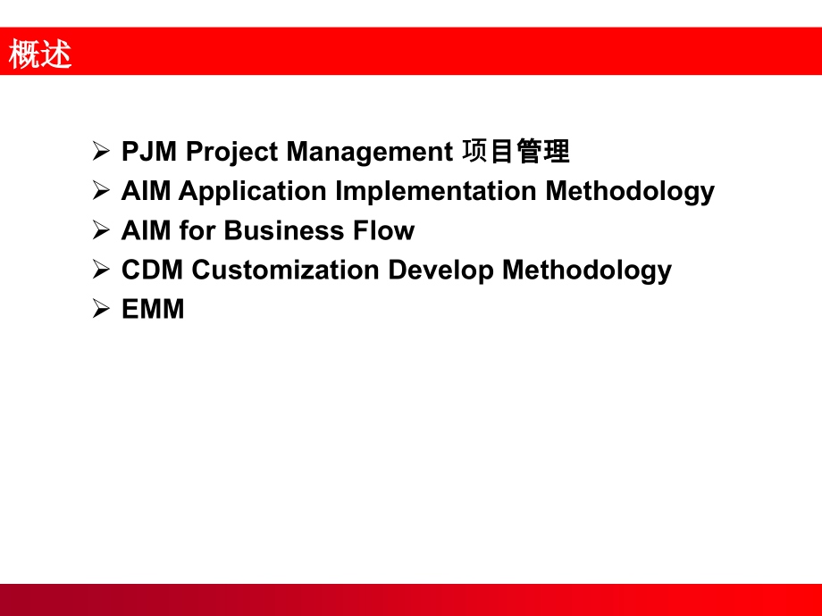 PJM&AIM_Oracle实施方法论_第2页