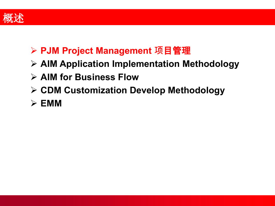 PJM&AIM_Oracle实施方法论_第3页