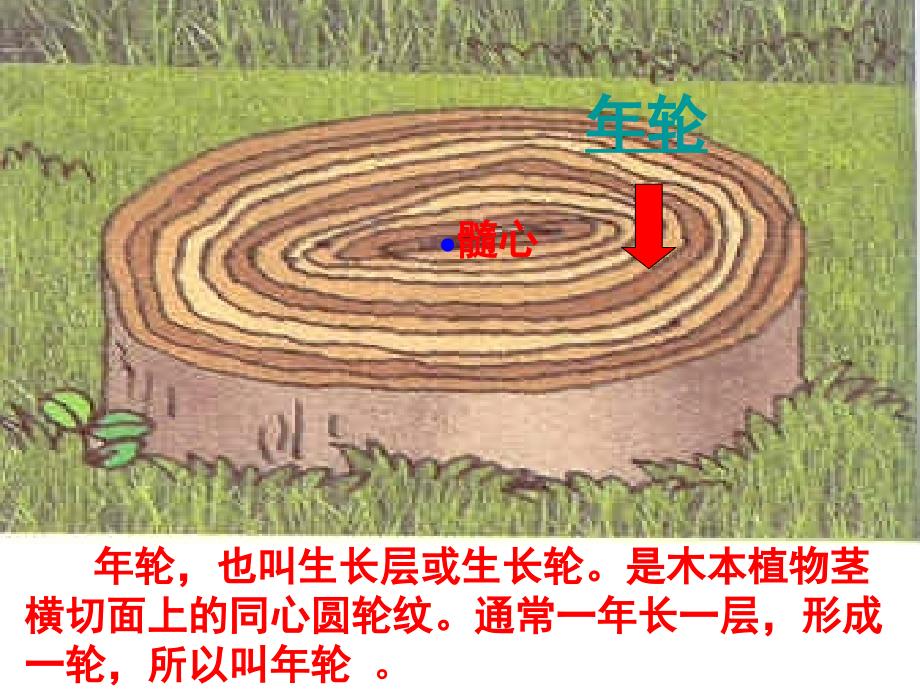 青岛版小学科学六年级下来自大自然的信息课件_第3页