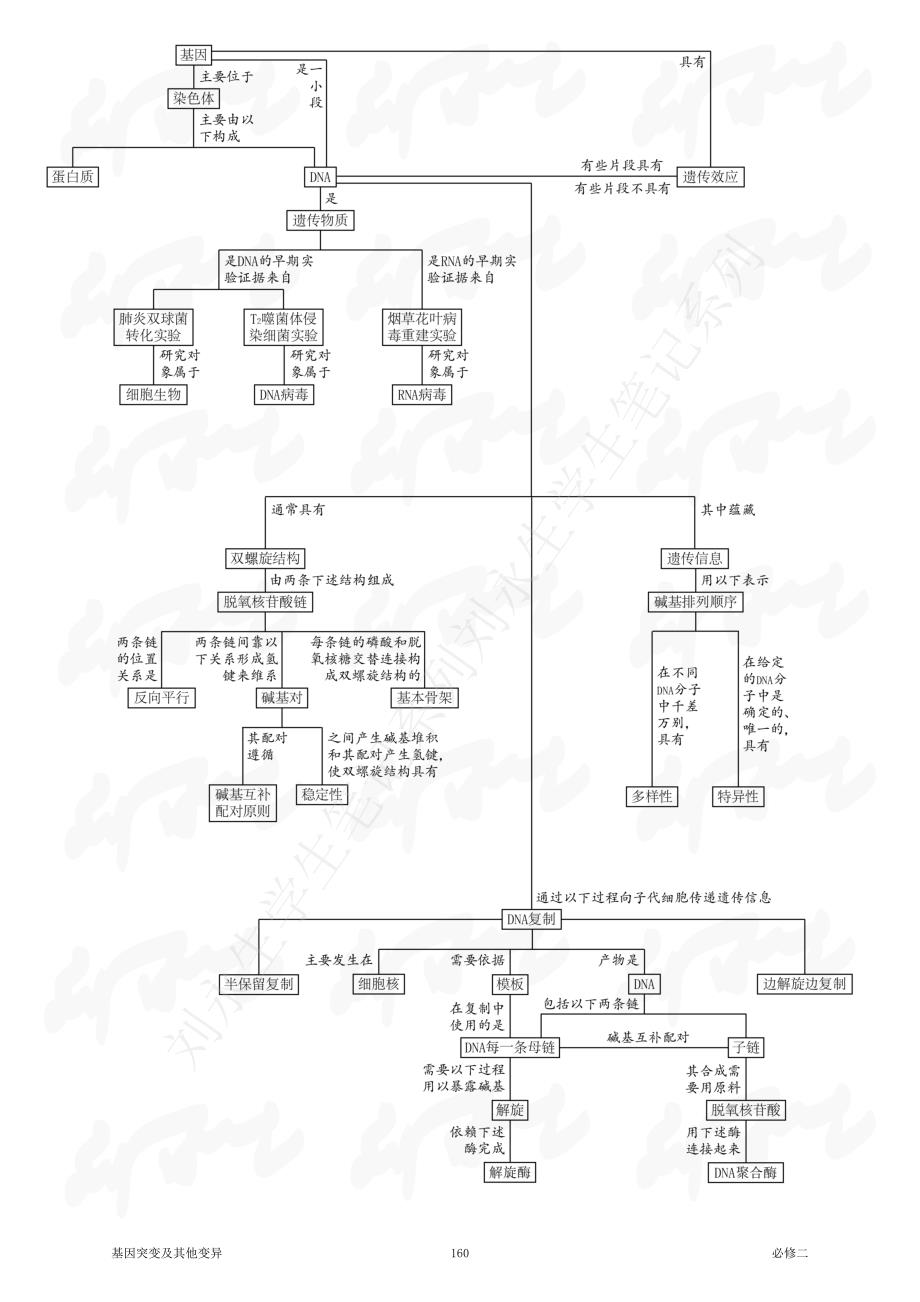 新课标高中生物必修二分章概念图_第3页