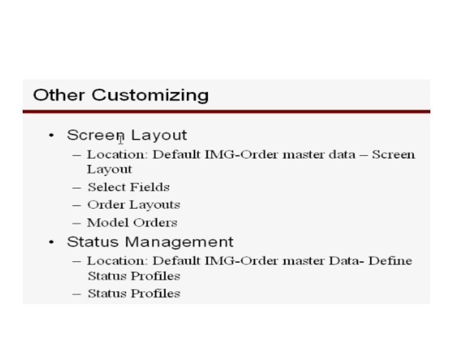 录像31_internal order customizing5_第2页