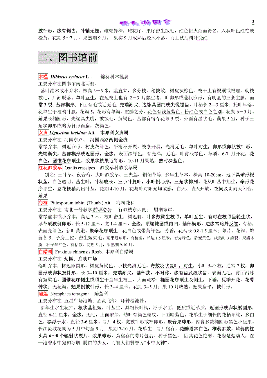 郑州大学新校区校园常见植物欣赏_第3页