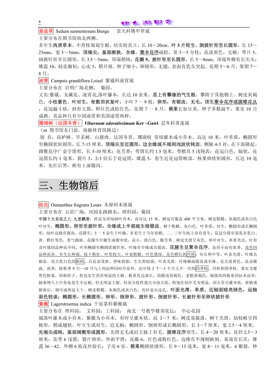 郑州大学新校区校园常见植物欣赏_第4页