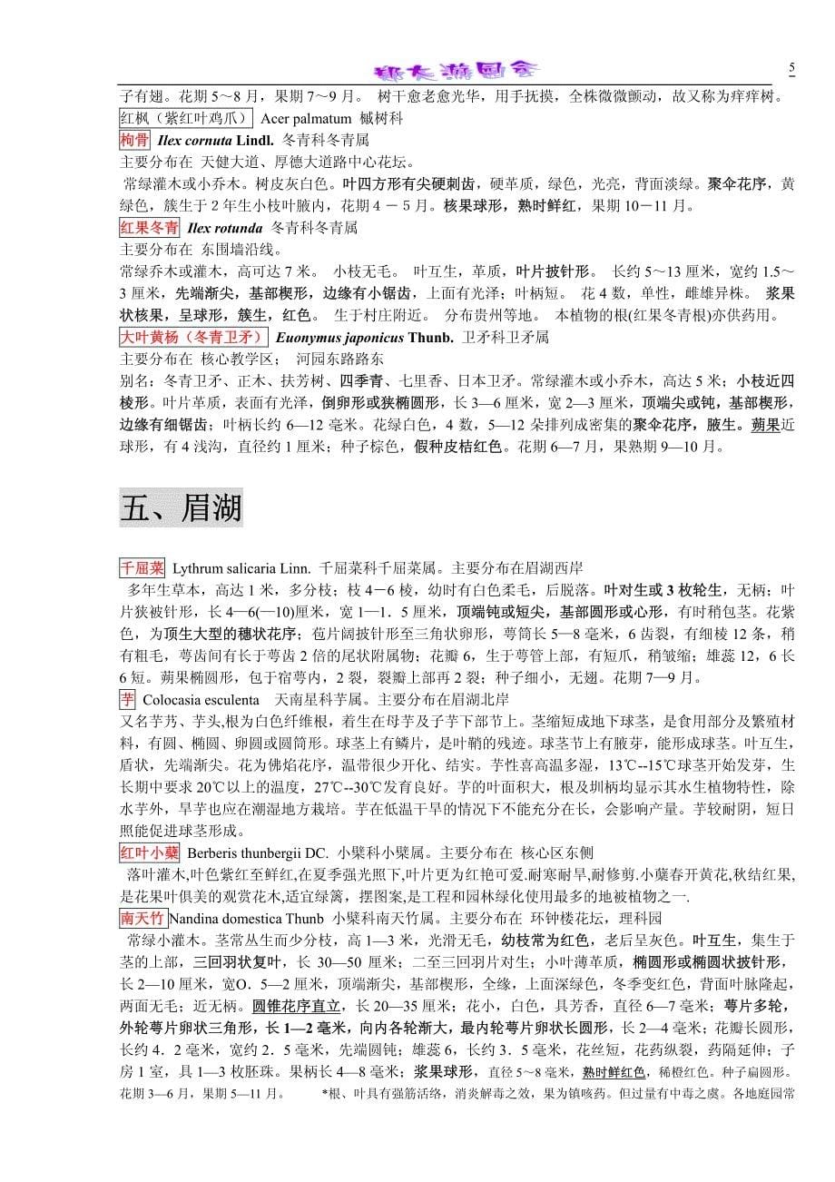 郑州大学新校区校园常见植物欣赏_第5页