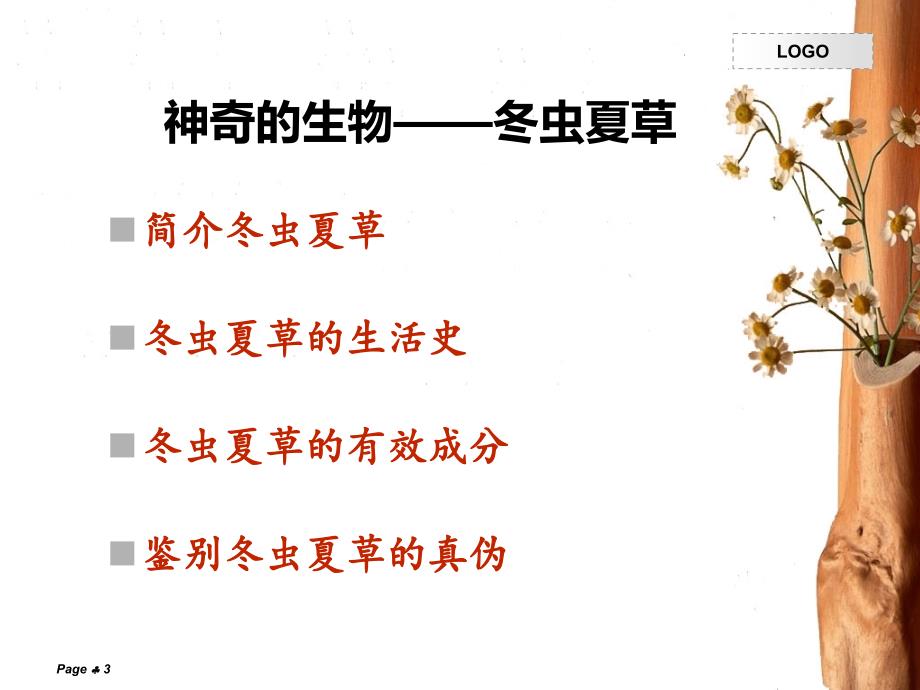 神秘的藏药——冬虫夏草_第3页