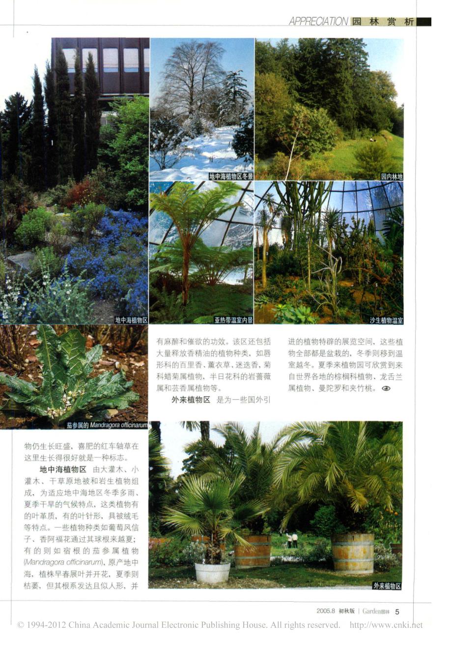 世界著名植物园之旅苏黎世植物园_第2页