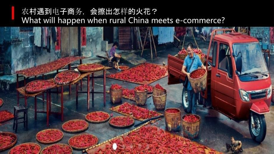 阿里研究院：解读农村电商普惠发展.Rural E-commerce Adventure in China_第5页