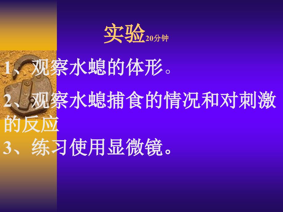 【化学课件】生物 第二章 腔肠动物门ppt课件_第4页