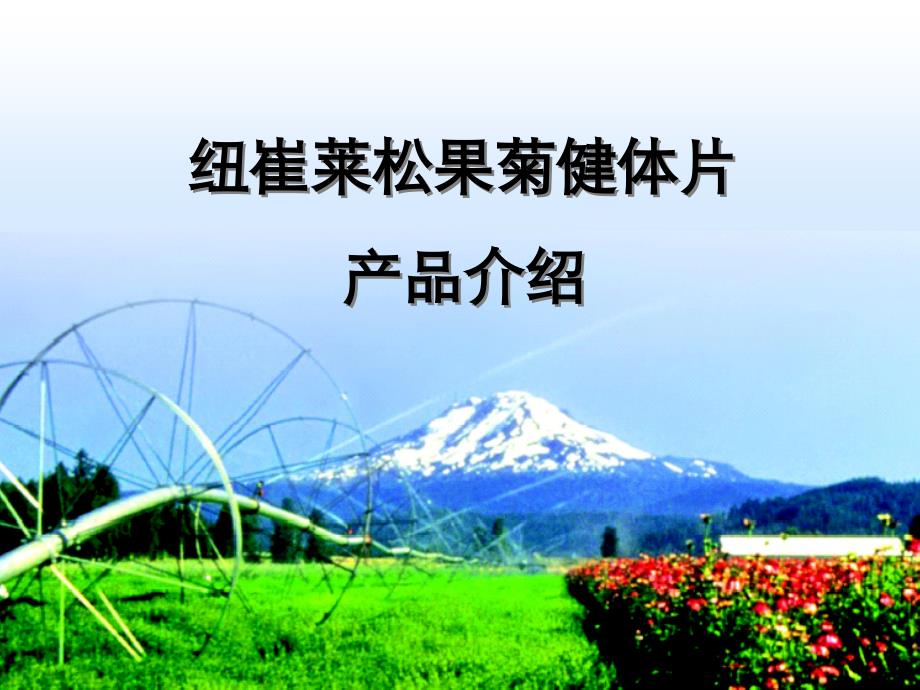 松果菊(aac)_第1页