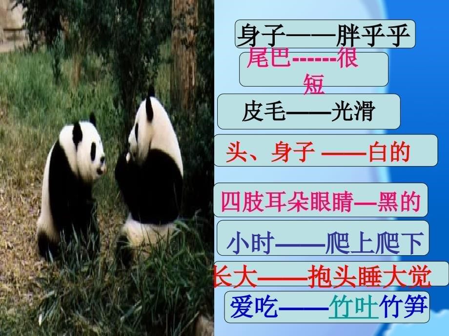 【语文课件 】北师大第二册10《大熊猫》2 ppt课件_第5页
