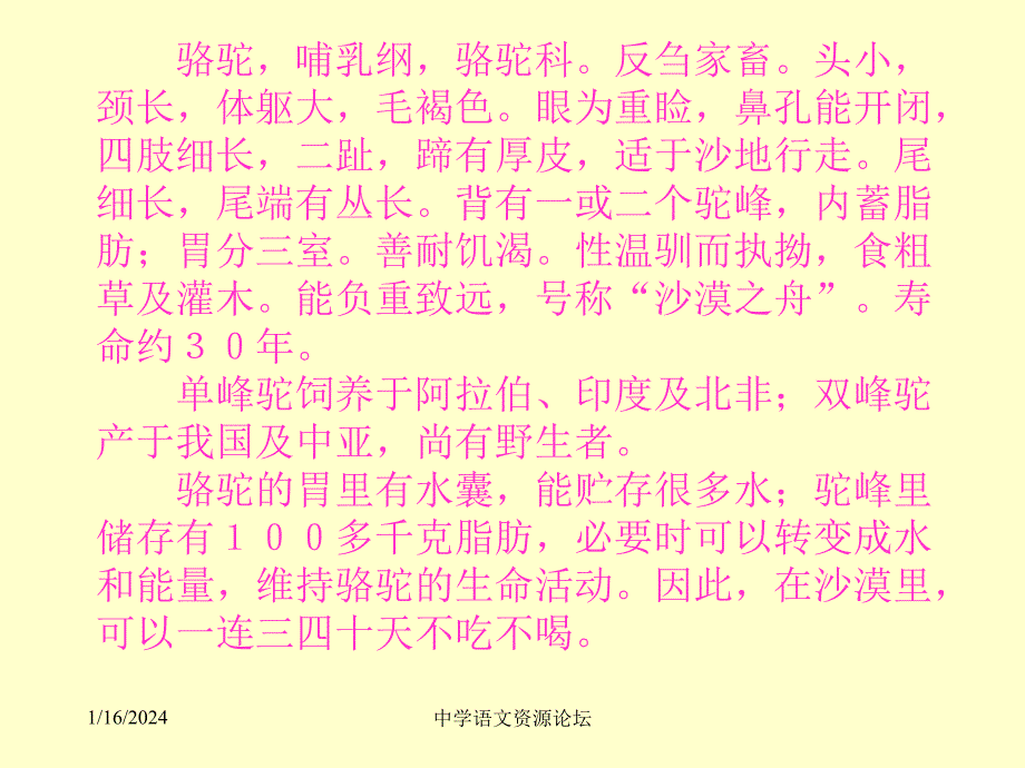 【语文课件】骆驼寻宝记_第3页