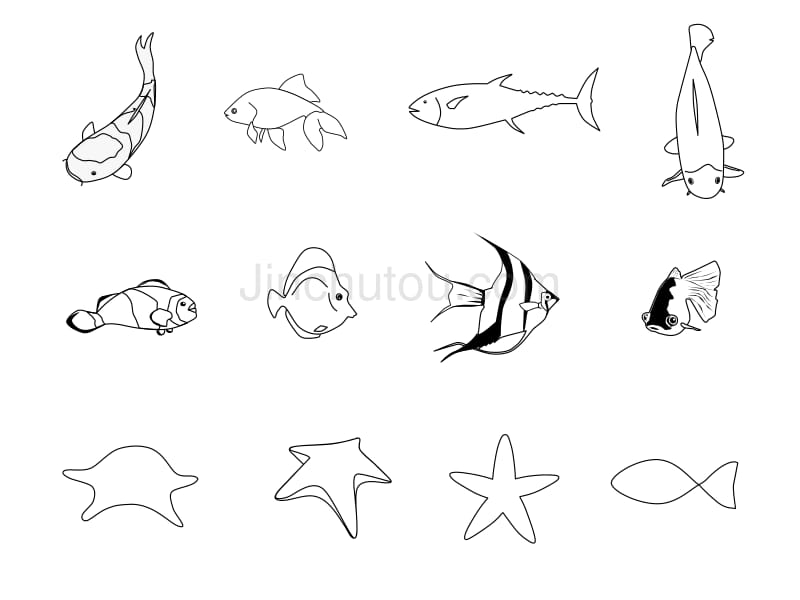 可编辑鱼类图案ppt模板_第5页