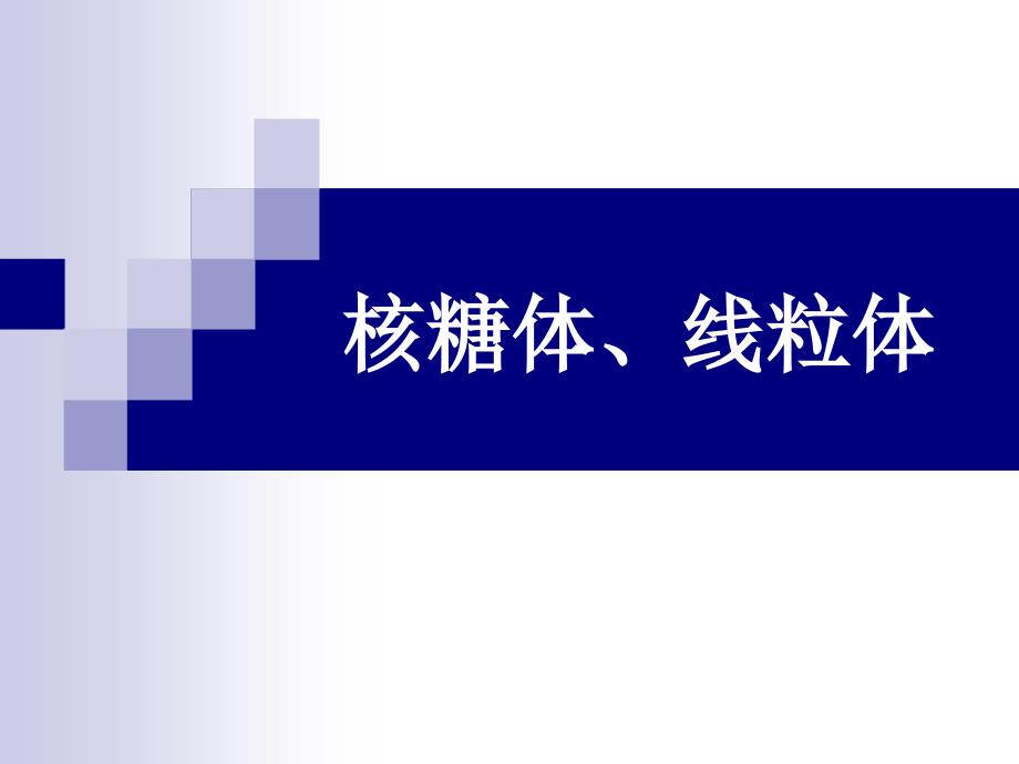 核糖体、线粒体_第1页