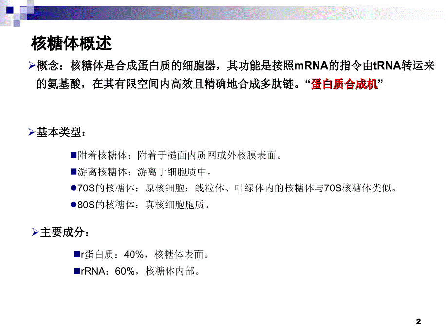 核糖体、线粒体_第3页