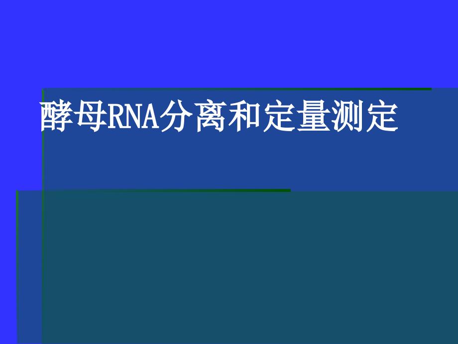 酵母rna分离和定量测定_第1页