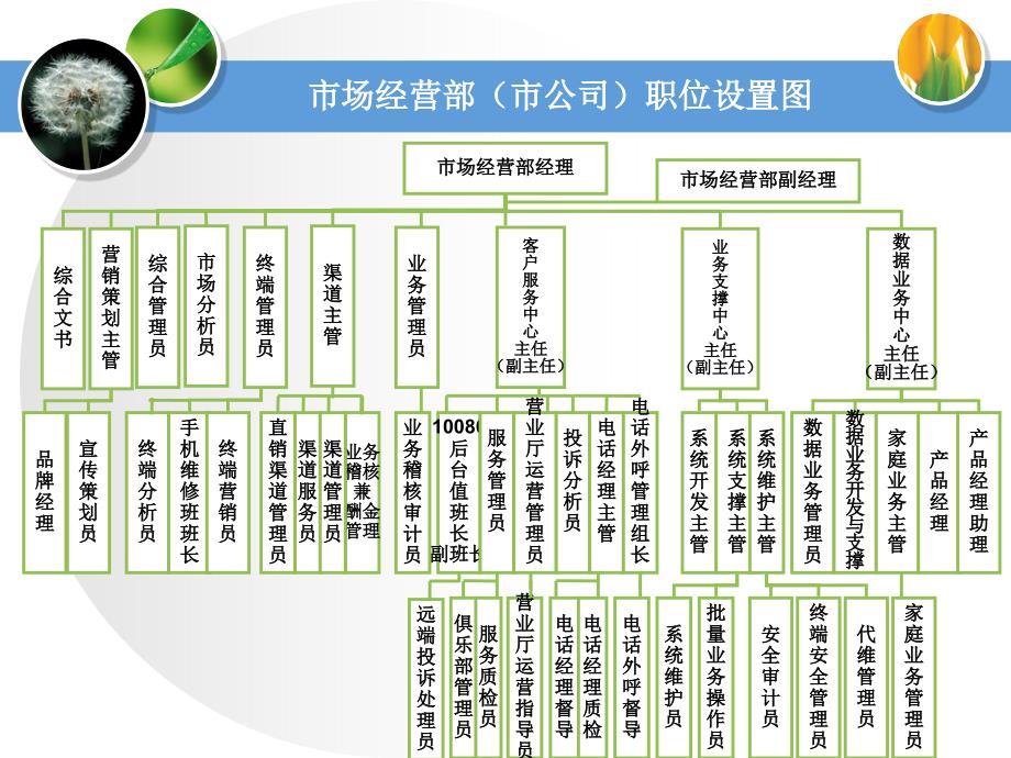 市公司及县区分公司市场经营部职位设置图_第1页