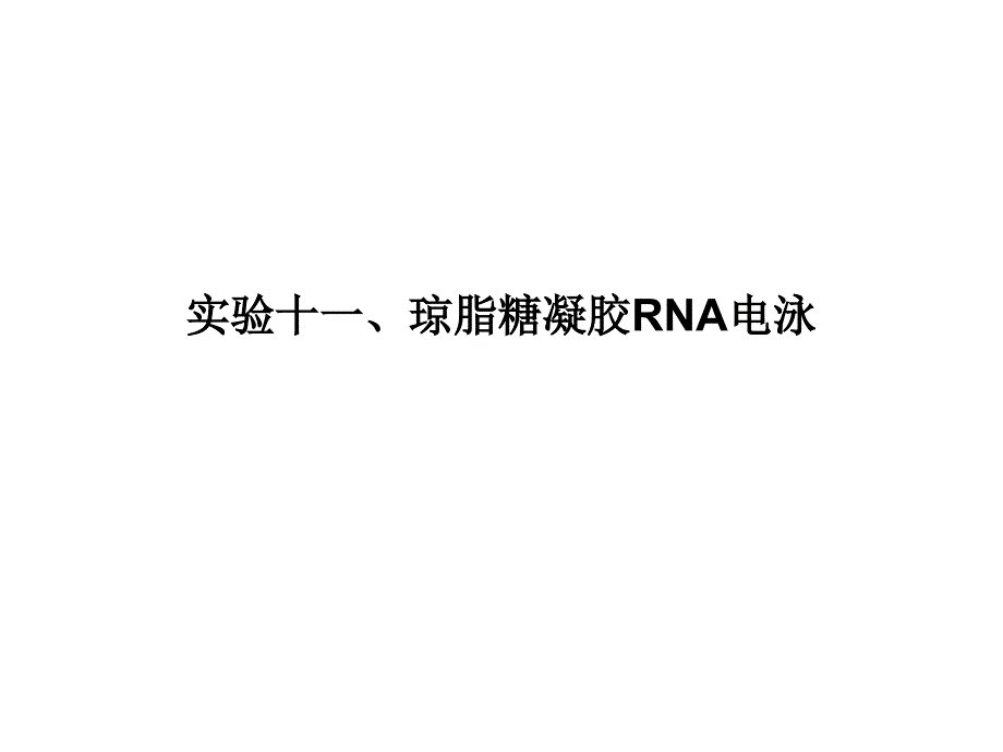 实验十、琼脂糖rna电泳_第1页