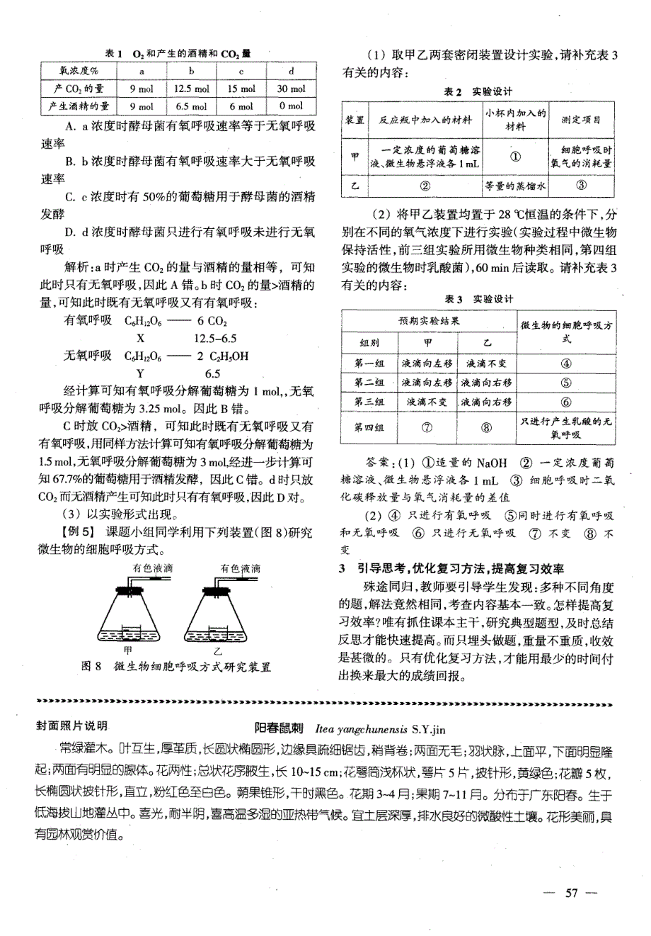 精讲精练 化解“细胞呼吸”难题_第4页