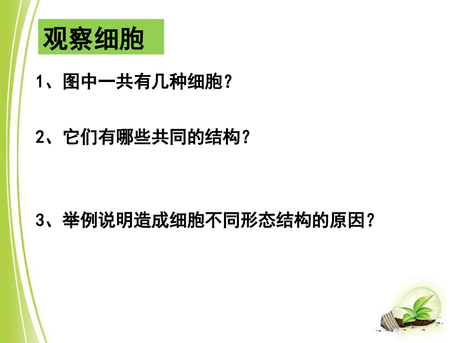 人教版高中生物必修1专题一第2节　细胞的多样性和统一性(共22张)_第3页