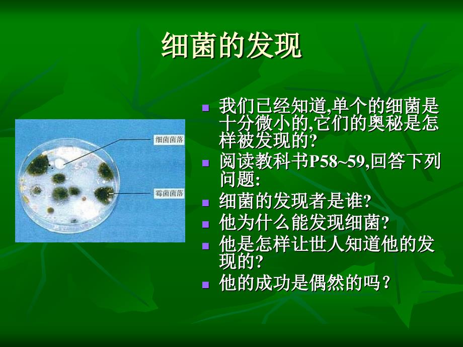 细菌的发现_第1页