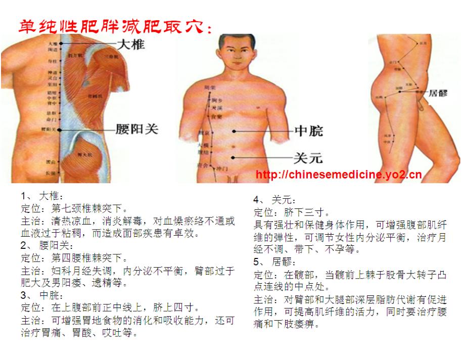 艾灸美容_第3页