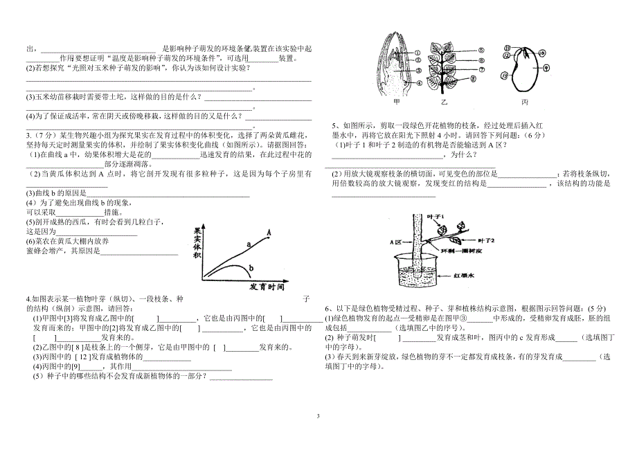 七年级下册月考_第3页