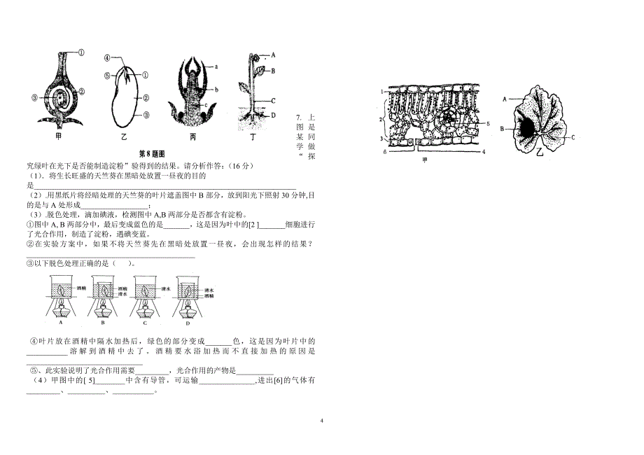 七年级下册月考_第4页