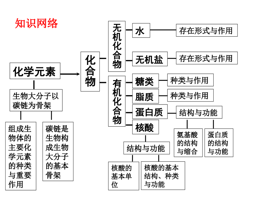 分子与细胞全面复习_第1页