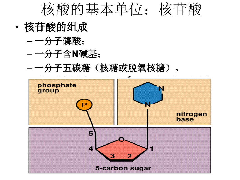 分子与细胞全面复习_第3页