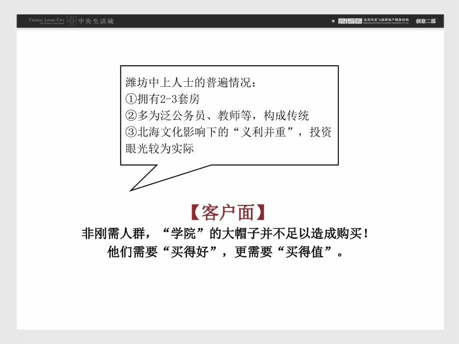 山东潍坊中央生活城前期推广策略提报终_第5页