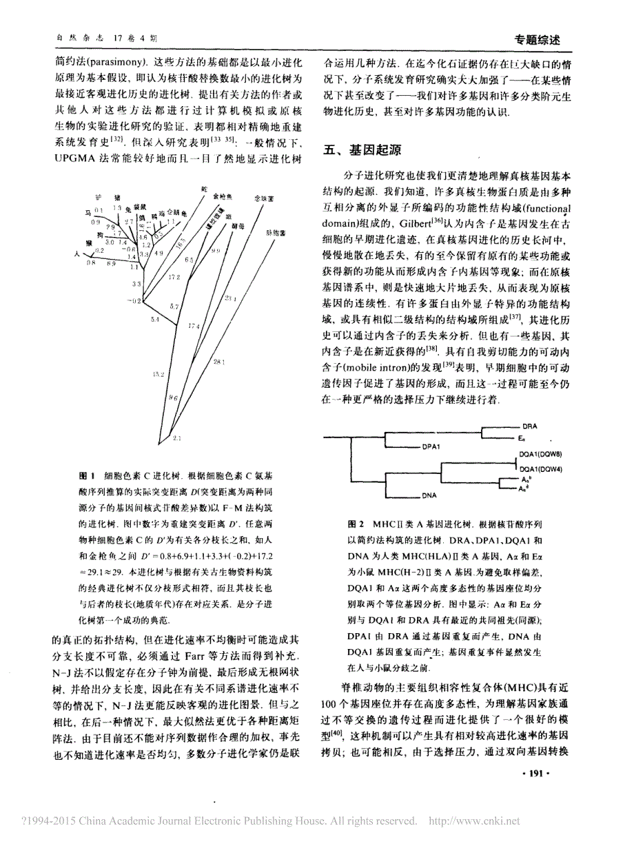 基因的分子进化_原理与方法_潘星华_第3页