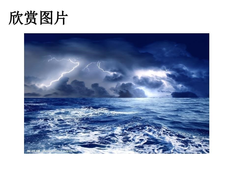 海燕 教学课件_第5页