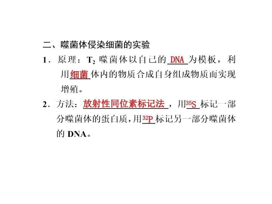 2012届高考生物第一轮单元知识点复习21_第5页