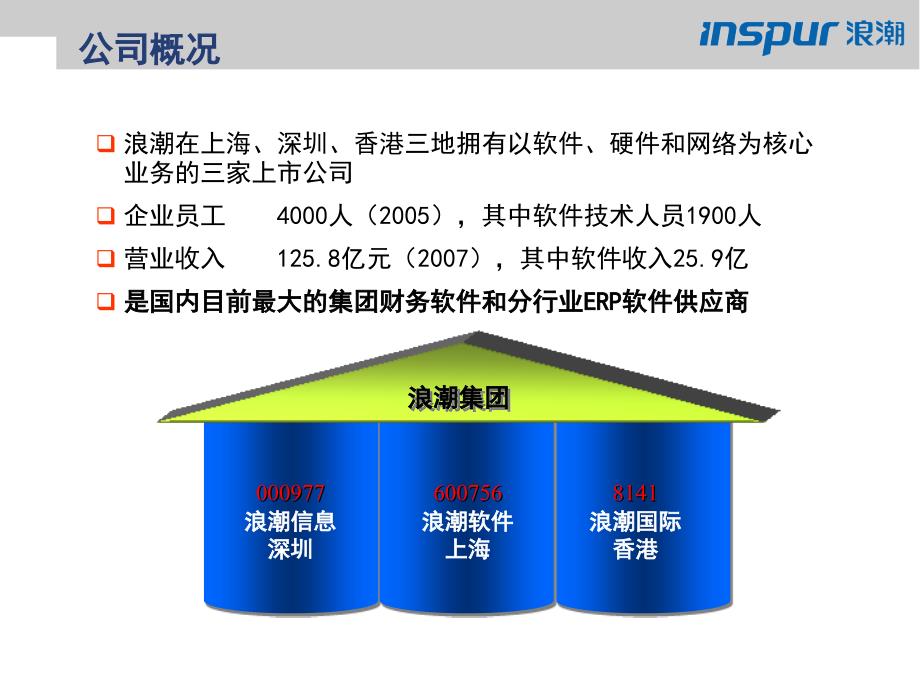 天津医药集团集中财务管理信息化项目_第4页