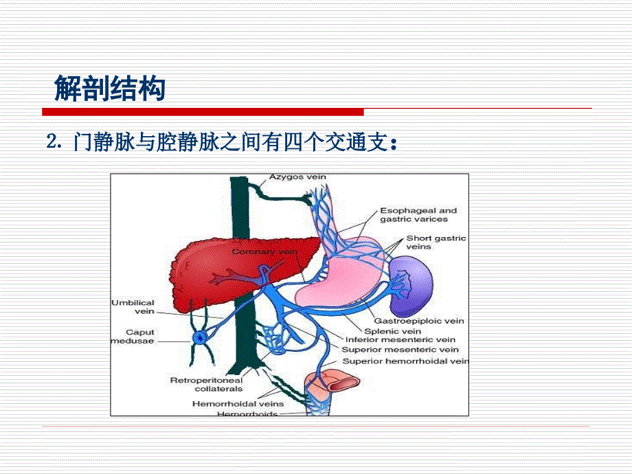 门静脉高压症-丁治国_第4页