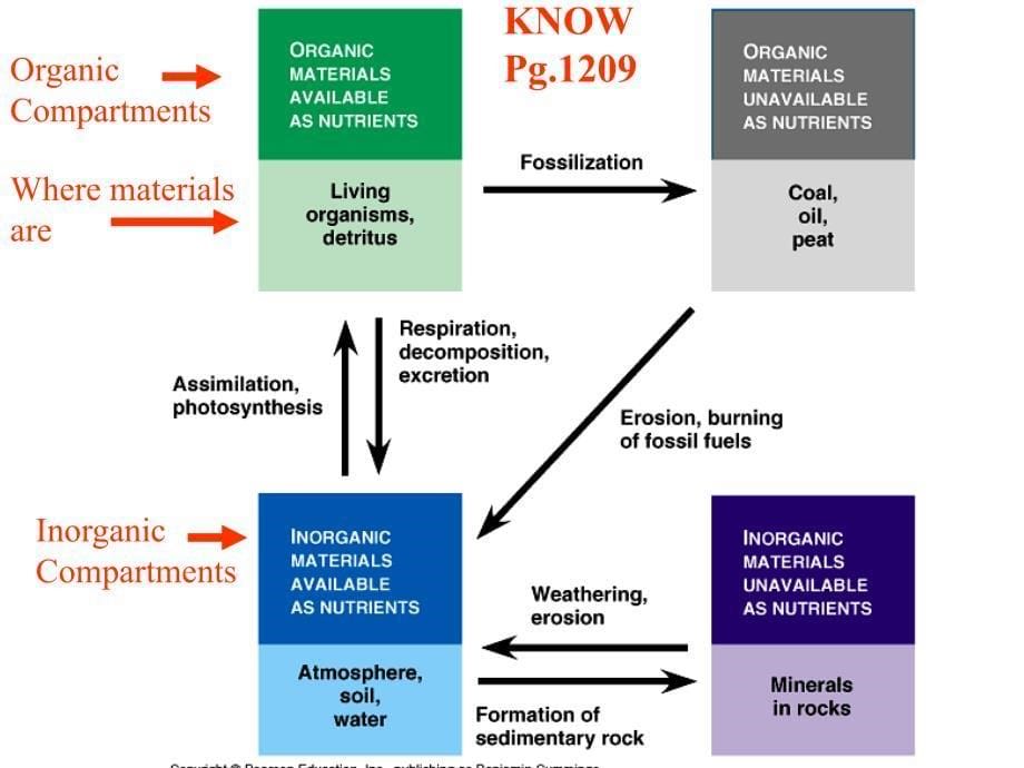 Biol2343_lecture_21得克萨斯生态学课件_第5页