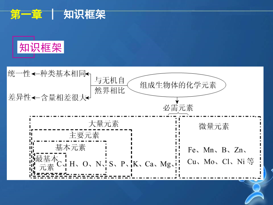 生命的物质基础_第3页