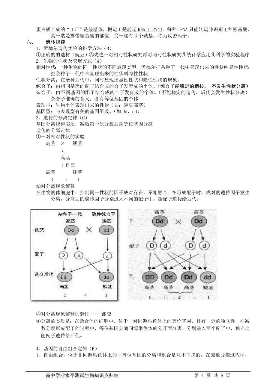 高中生物知识点归纳+必修1-3-(必修2)_第4页