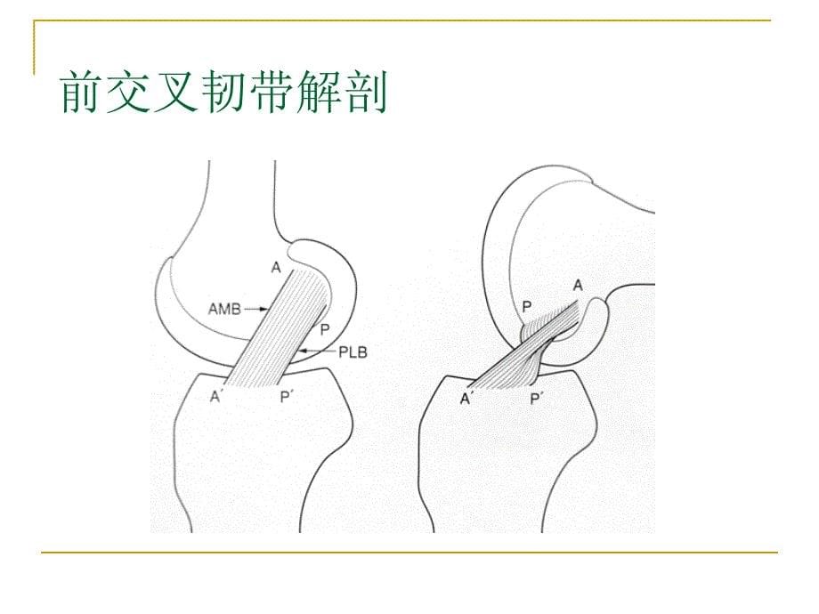 膝关节损伤MRI诊断问题分析_第5页