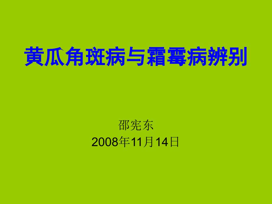 黄瓜角斑病与霜霉_第1页