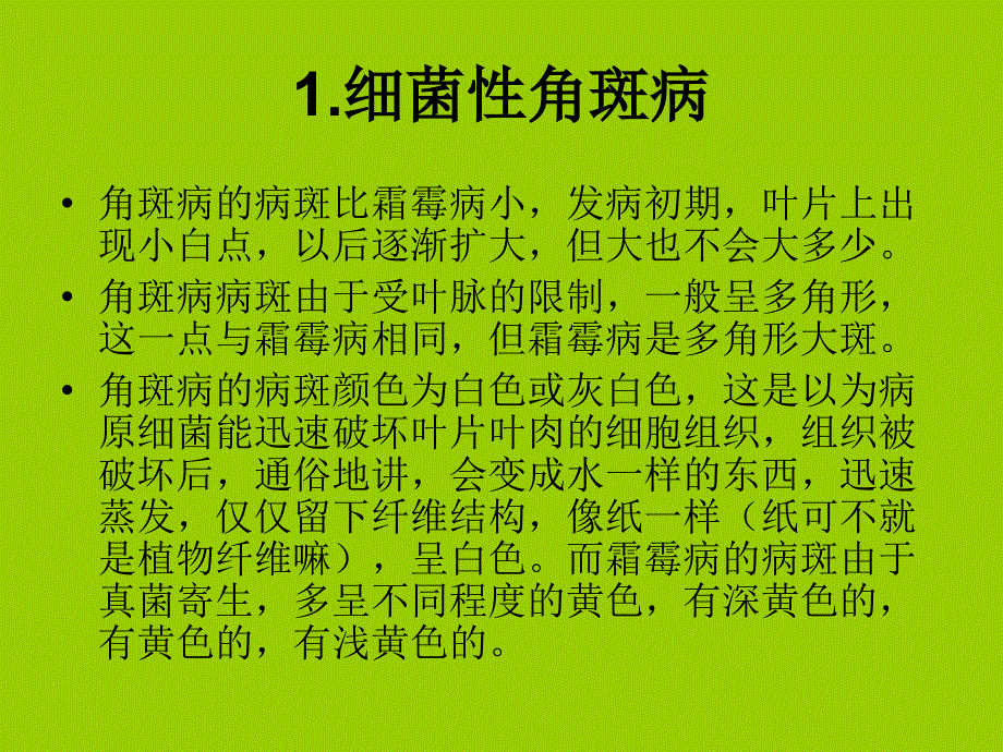 黄瓜角斑病与霜霉_第3页