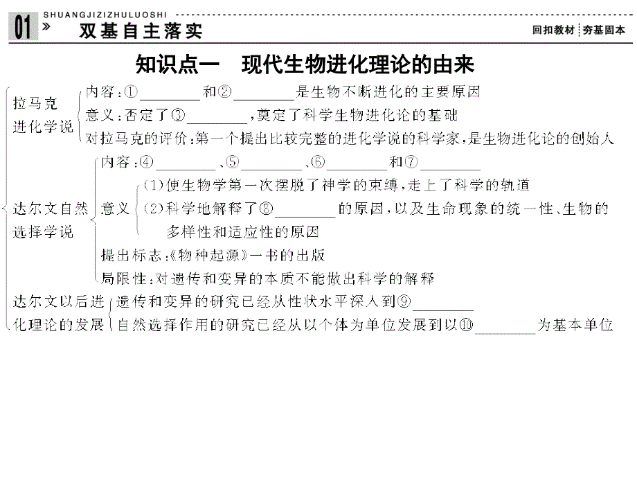 现代生物进化理论一轮复习上课用_第2页