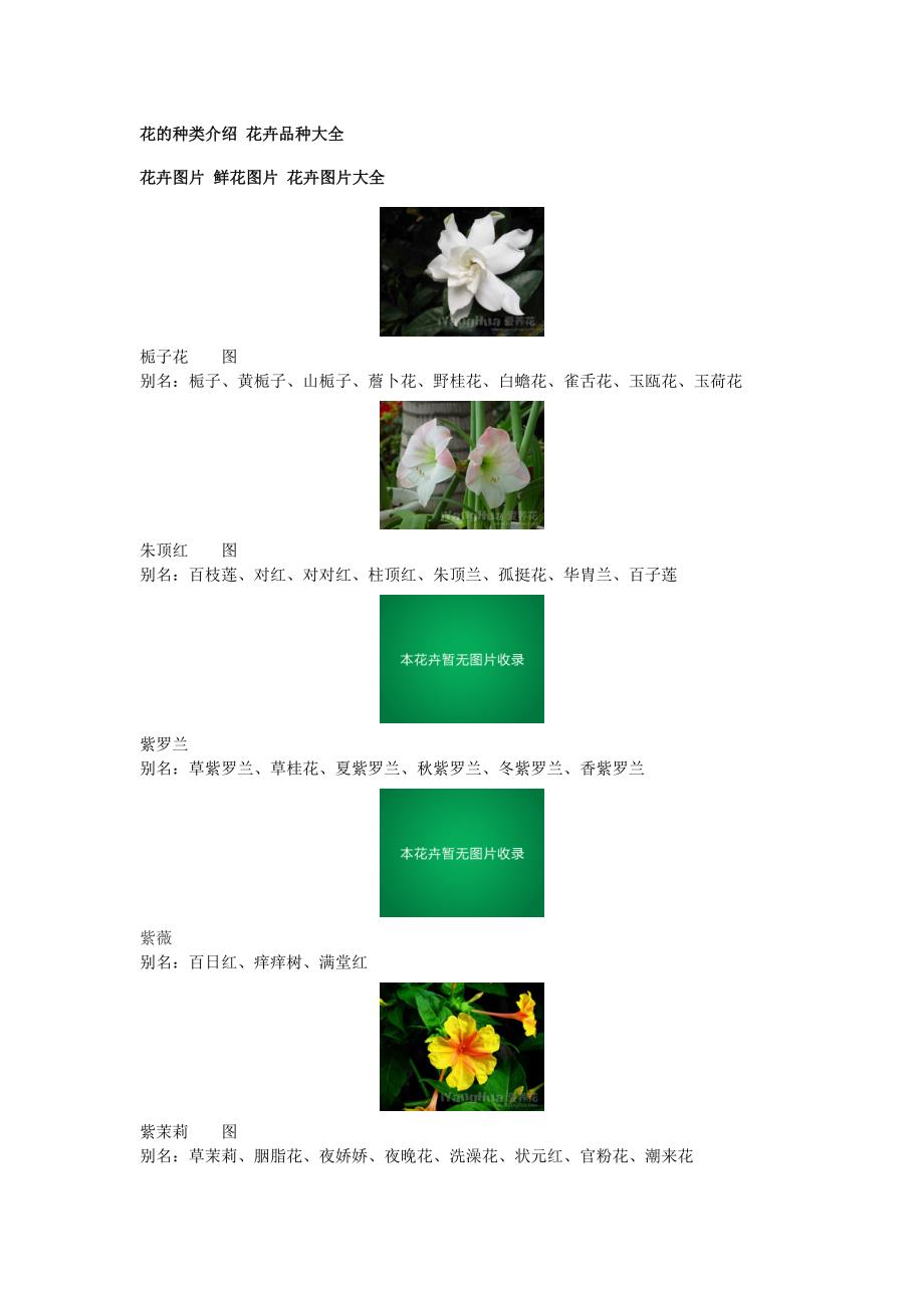 花卉介绍【附图】_第1页