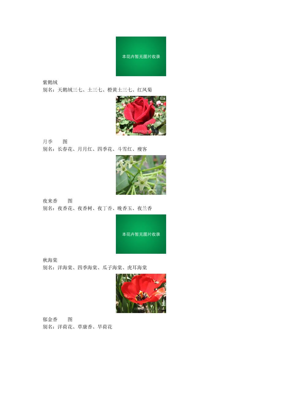 花卉介绍【附图】_第3页