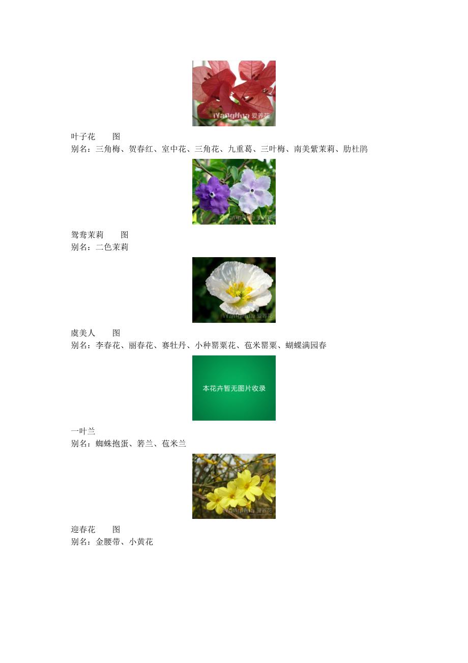 花卉介绍【附图】_第4页