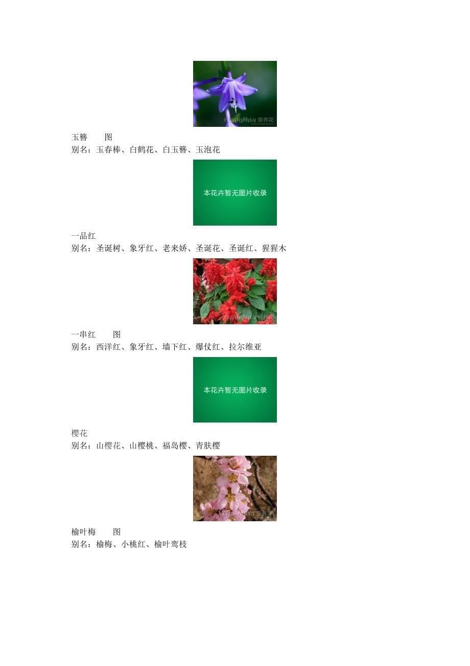 花卉介绍【附图】_第5页